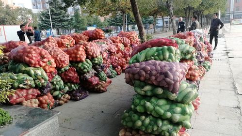 小蘿卜，大愛心 阜南教育助力濛洼地區貧困戶農產品銷售