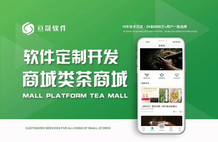 軟件定制開發商城類