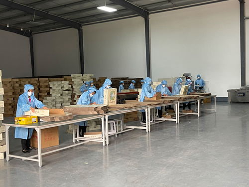 這是一道省委書記關注的必答題