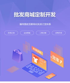 批發(fā)商城定制開發(fā) 批發(fā)商城網站制作 在線批發(fā)商城平臺建設 江門析客