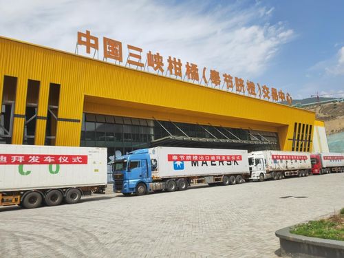 金橙飄香拓眼界 重慶奉節(jié)品牌添翼，促產(chǎn)業(yè)煥發(fā)新機